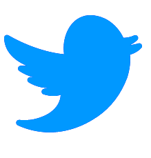 Twitter icon